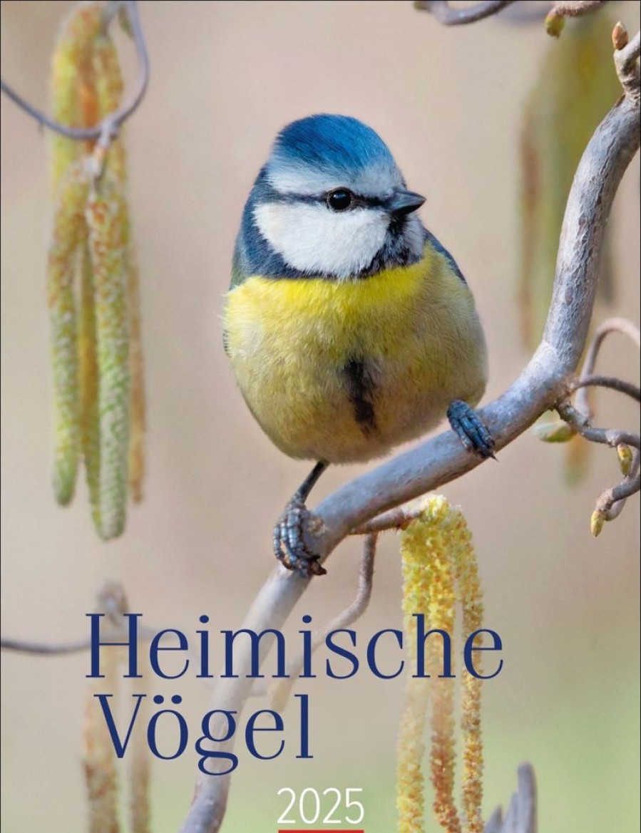 New Weingarten Heimische Vogel Kalender 2025