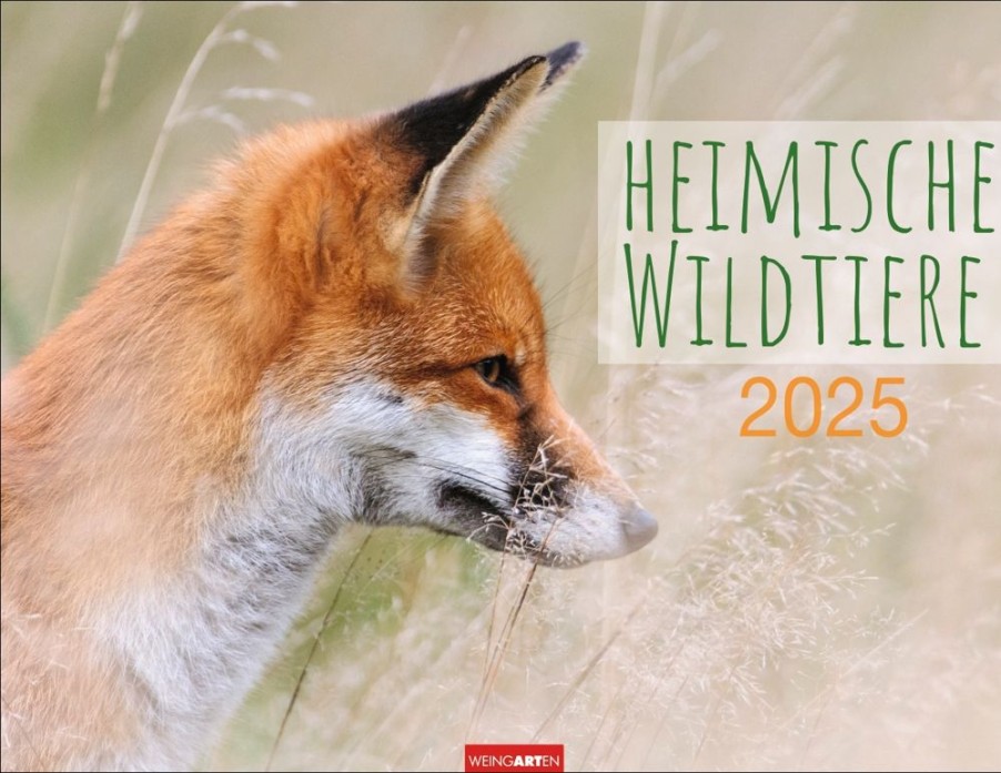 Clearance Weingarten Heimische Wildtiere Kalender 2025