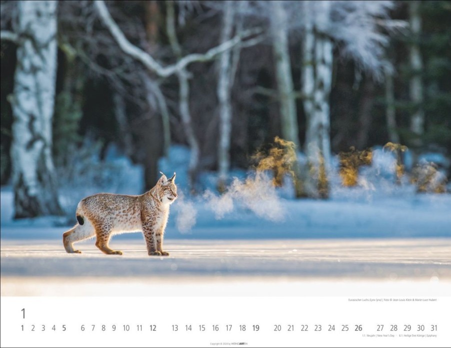 Clearance Weingarten Heimische Wildtiere Kalender 2025