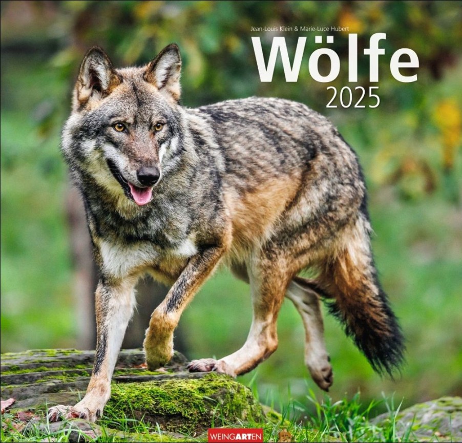 Wholesale Weingarten Wolfe Kalender 2025