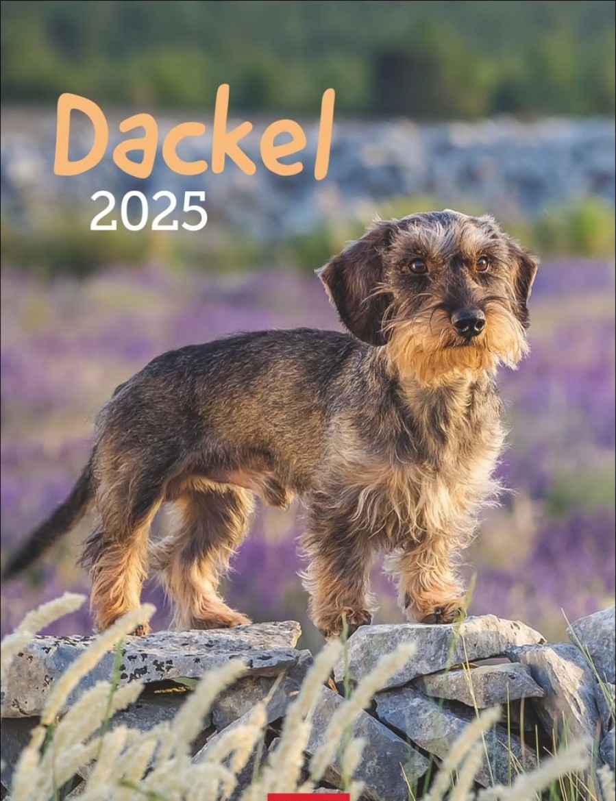 Best Weingarten Dackel Kalender 2025