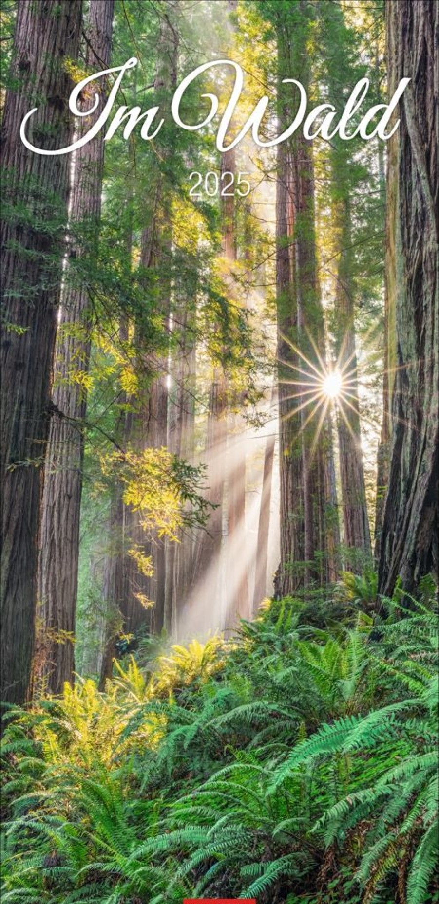 Best Weingarten Im Wald Kalender 2025