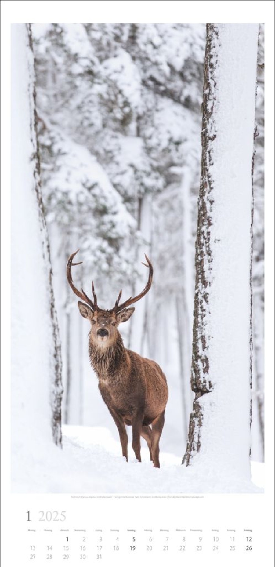 Best Weingarten Im Wald Kalender 2025