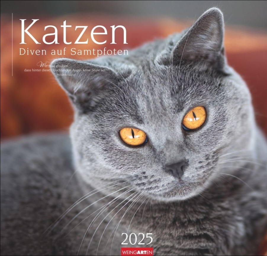 Clearance Weingarten Katzen Diven Auf Samtpfoten Kalender 2025