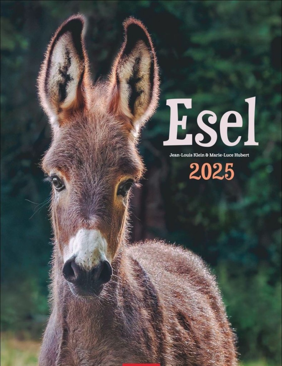 Best Weingarten Esel Kalender 2025