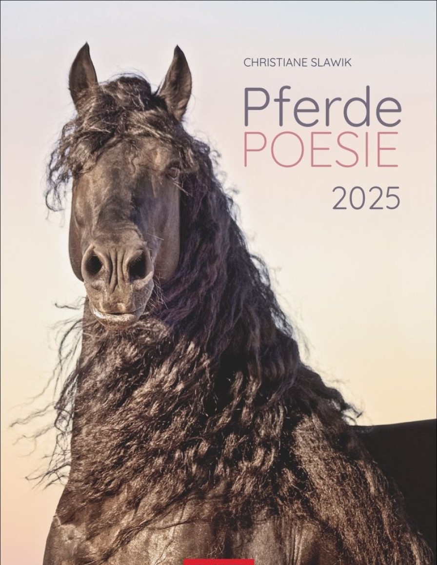 New Weingarten Pferdepoesie Kalender 2025