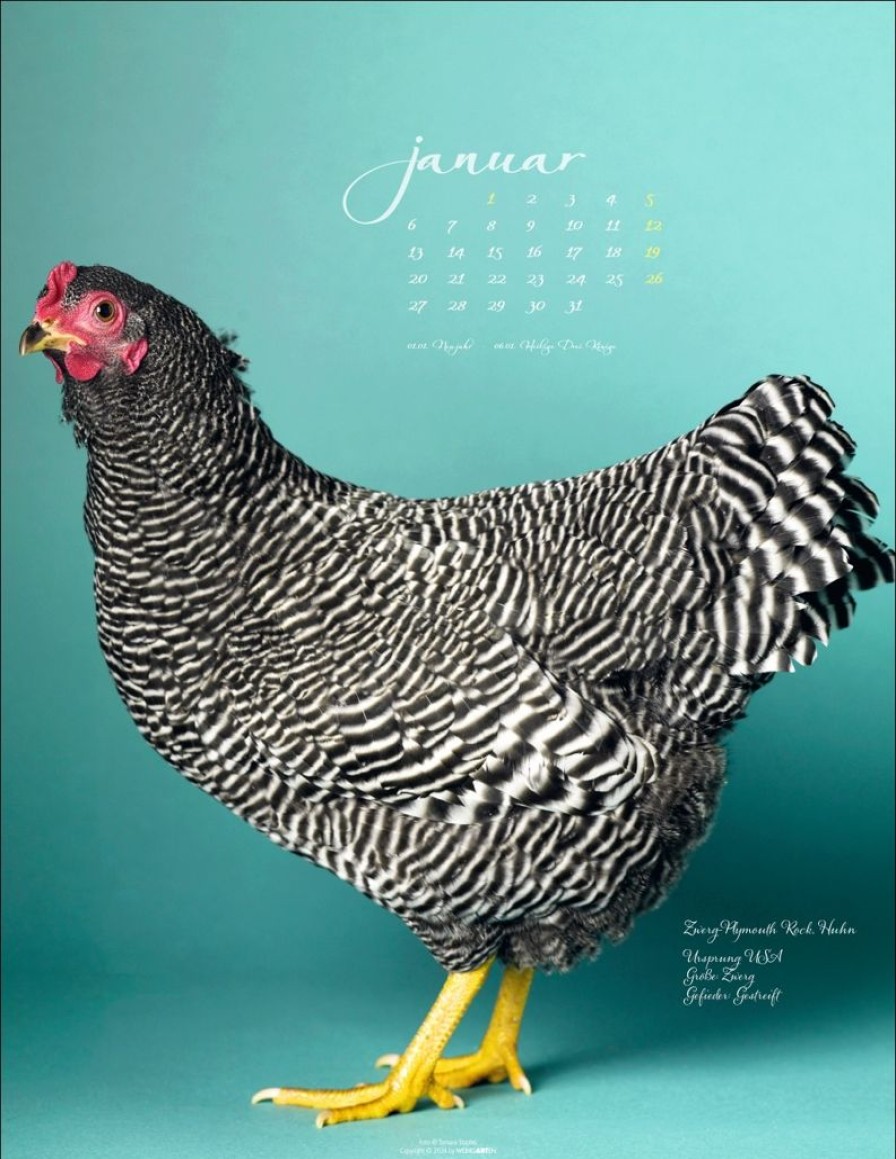 Online Weingarten Pretty Chicks Kalender 2025