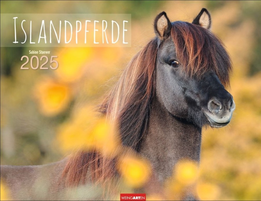 New Weingarten Islandpferde Kalender 2025