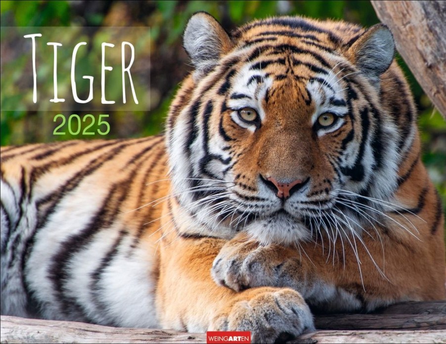 Online Weingarten Tiger Kalender 2025