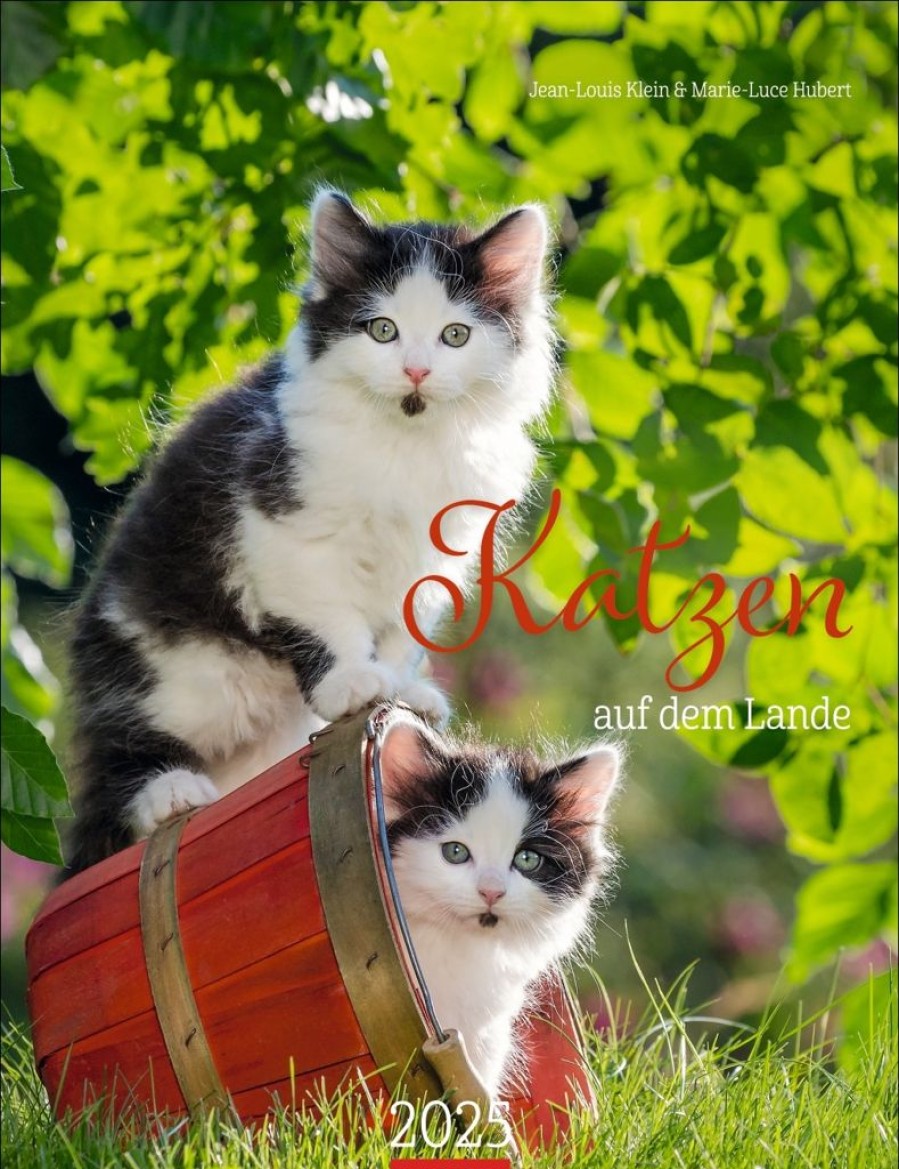 Best Weingarten Katzen Auf Dem Lande Kalender 2025