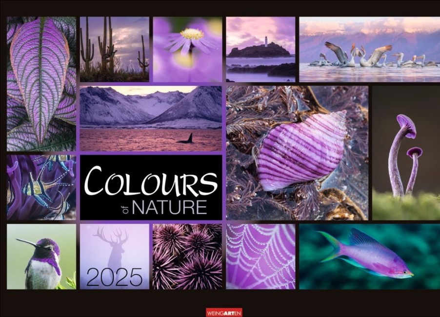 New Weingarten Colours Of Nature Kalender 2025