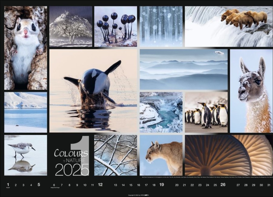 New Weingarten Colours Of Nature Kalender 2025