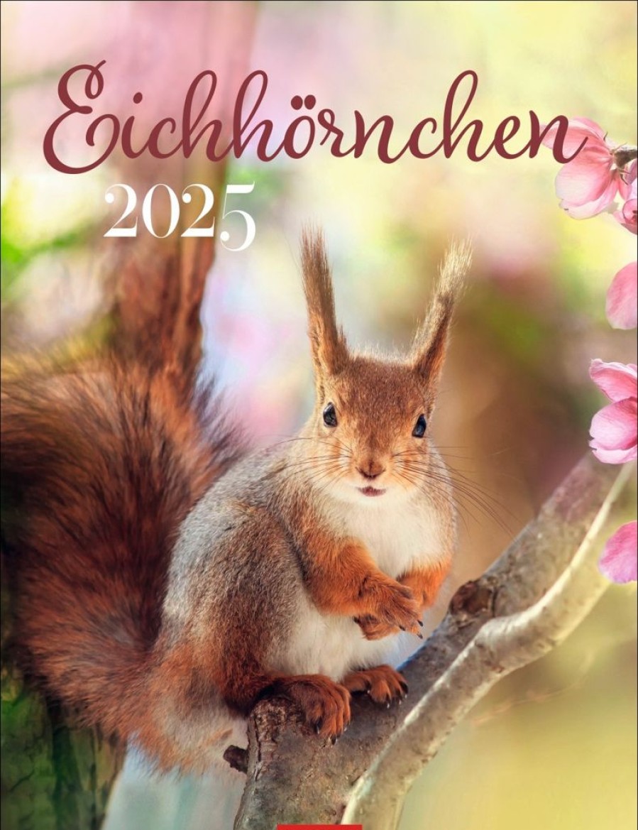 New Weingarten Eichhornchen Kalender 2025